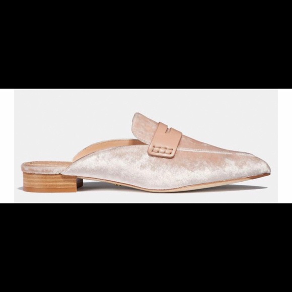 coach nova loafer slide